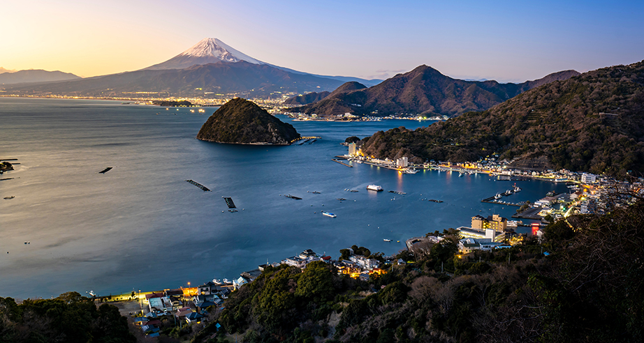 伊豆半島物流
